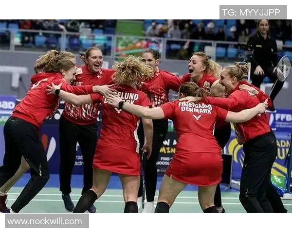 南京羽毛球队在欧锦赛中的灵活性表现分析与点评