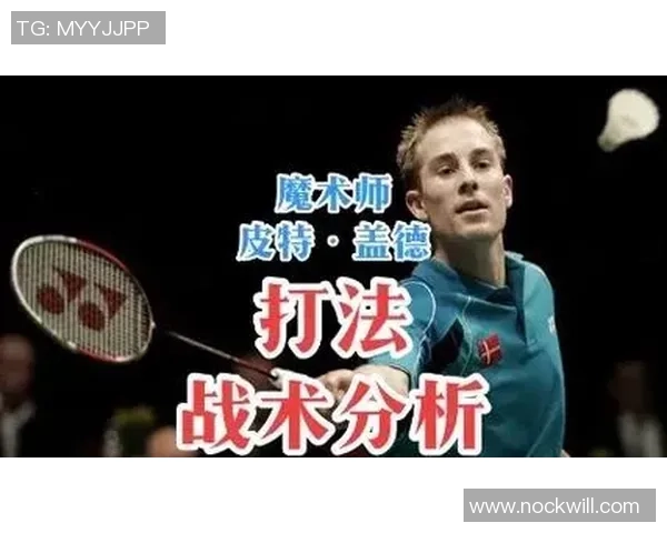 北京羽毛球队整体压制战术解析与实战应用研究 北京羽毛球队整体压制战术解析与实战应用研究