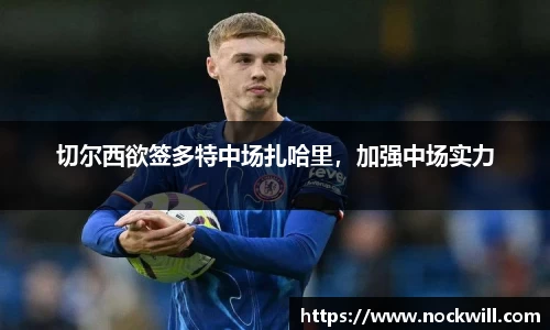 切尔西欲签多特中场扎哈里，加强中场实力