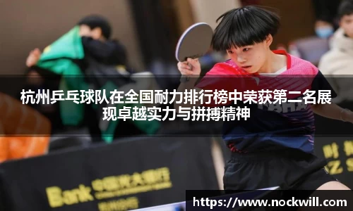 mk体育官网入口